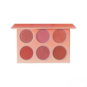 پالت رژگونه 6 رنگ مدل Floral Flush شیگلم SHEGLAM