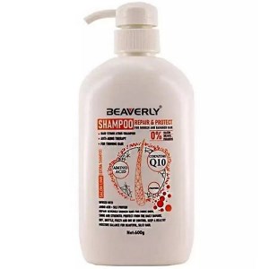 شامپو پروتئین 600میل بورلی BEAVERLY