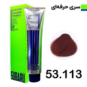 رنگ مو 120 میل المانی سوبارو شماره 53/113 فشن ها