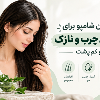 بهترین شامپو برای موهای چرب و نازک